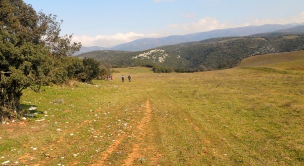 Πληροφορίες για το «πρασίνισμα» και τις υποχρεώσεις των παραγωγών